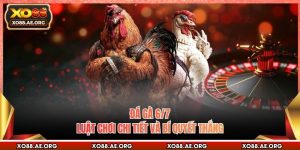 Đá Gà 6/7 - Luật Chơi Chi Tiết Và Bí Quyết Thắng