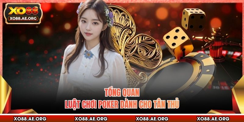 Tổng quan luật chơi Poker dành cho tân thủ